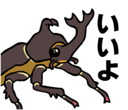 beetle and stag beetle(daily life's) sticker #15874308