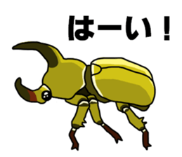 beetle and stag beetle(daily life's) sticker #15874315
