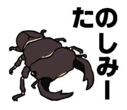beetle and stag beetle(daily life's) sticker #15874318