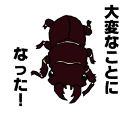 beetle and stag beetle(daily life's) sticker #15874319