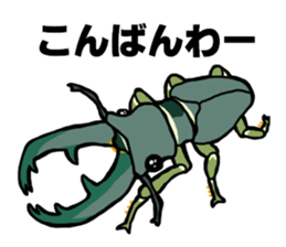 beetle and stag beetle(daily life's) sticker #15874321