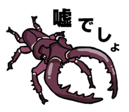 beetle and stag beetle(daily life's) sticker #15874325
