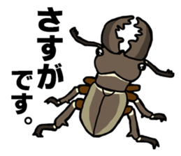beetle and stag beetle(daily life's) sticker #15874326