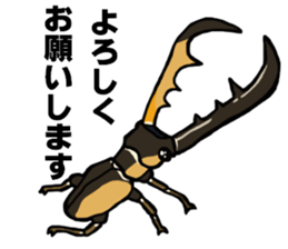 beetle and stag beetle(daily life's) sticker #15874330