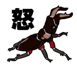 beetle and stag beetle(daily life's) sticker #15874331