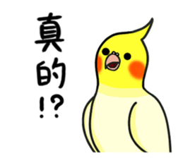 Lovely Parrot sticker #15874789