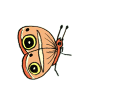 The Chinese Bushbrown's larva like a cat sticker #15875311