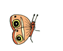 The Chinese Bushbrown's larva like a cat sticker #15875311