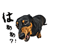 inutoneko22 sticker #15875986