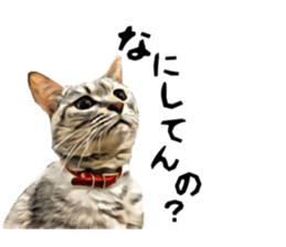 inutoneko22 sticker #15875987