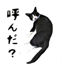 inutoneko22 sticker #15875988