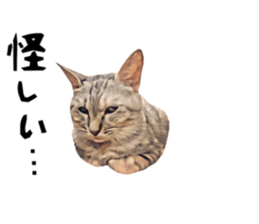 inutoneko22 sticker #15875989