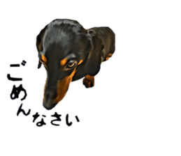 inutoneko22 sticker #15875990