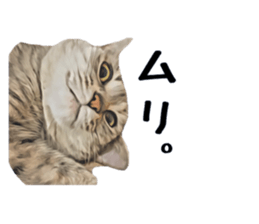 inutoneko22 sticker #15875992