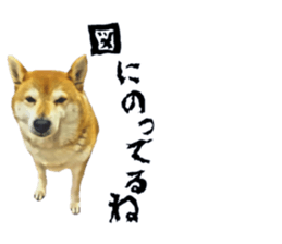 inutoneko22 sticker #15875993