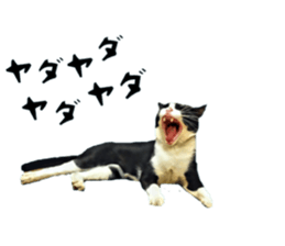 inutoneko22 sticker #15875994