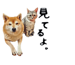 inutoneko22 sticker #15875996