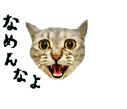 inutoneko22 sticker #15876000