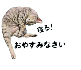 inutoneko22 sticker #15876001