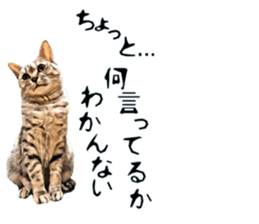 inutoneko22 sticker #15876002