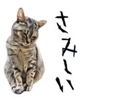 inutoneko22 sticker #15876004