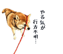 inutoneko22 sticker #15876005