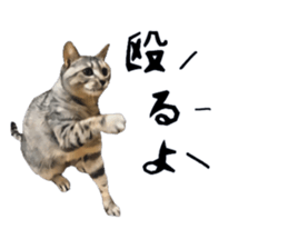 inutoneko22 sticker #15876006