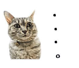 inutoneko22 sticker #15876007