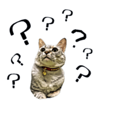 inutoneko22 sticker #15876008