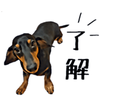 inutoneko22 sticker #15876009