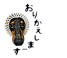 inutoneko22 sticker #15876010