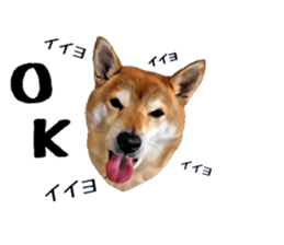 inutoneko22 sticker #15876012