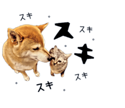 inutoneko22 sticker #15876015