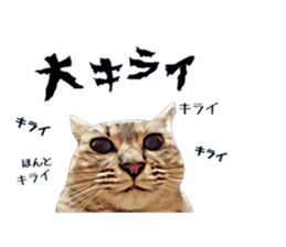 inutoneko22 sticker #15876016