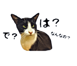 inutoneko22 sticker #15876018