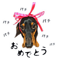 inutoneko22 sticker #15876019