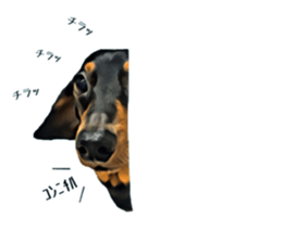 inutoneko22 sticker #15876020