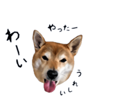 inutoneko22 sticker #15876023