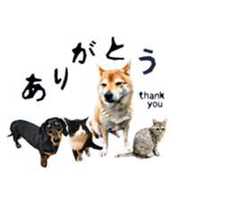 inutoneko22 sticker #15876024