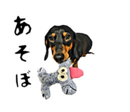 inutoneko22 sticker #15876025