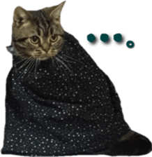 American Shorthair POKO sticker #15876124