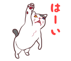 odd eye cat "KOUME" sticker #15876940