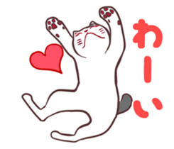 odd eye cat "KOUME" sticker #15876942