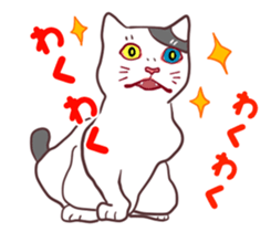 odd eye cat "KOUME" sticker #15876943