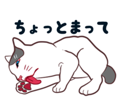 odd eye cat "KOUME" sticker #15876945