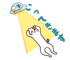 odd eye cat "KOUME" sticker #15876946