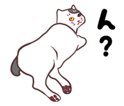 odd eye cat "KOUME" sticker #15876953