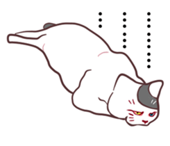 odd eye cat "KOUME" sticker #15876954