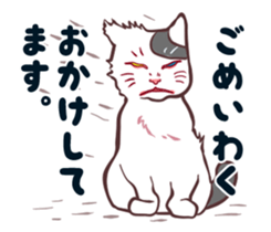 odd eye cat "KOUME" sticker #15876957