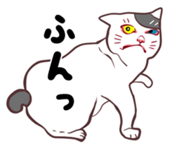 odd eye cat "KOUME" sticker #15876960